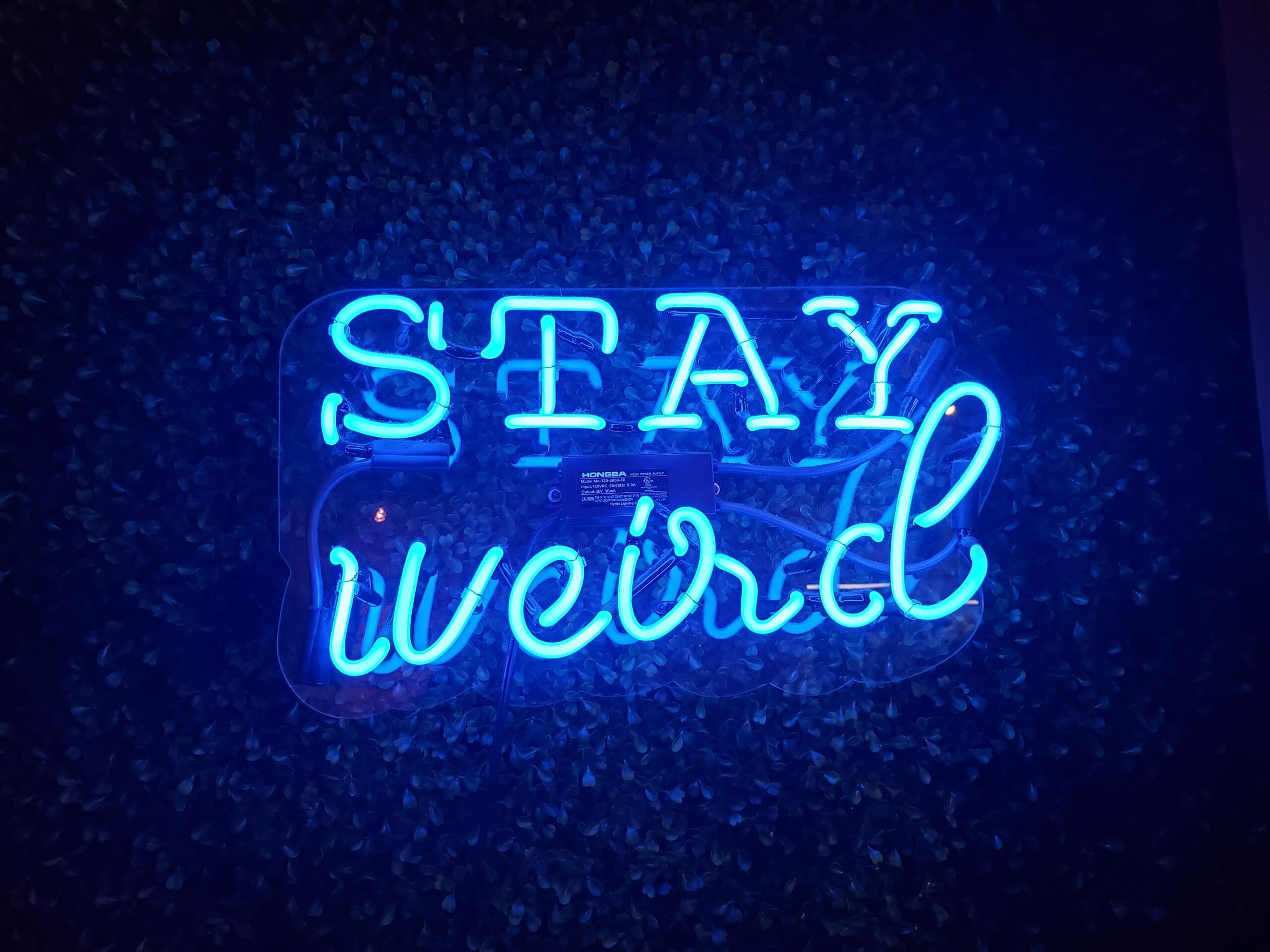blue neon text on a black background reads Stay Weird